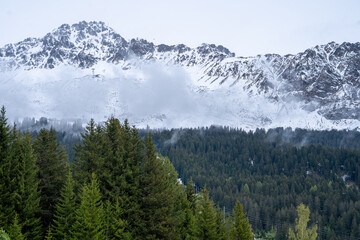 Beautiful fog in mountains