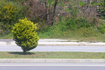 A section of an asphalt road with a curb stone and a lawn, minimalism, urbanism, 26