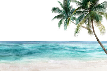 Tropical Beach Scene Calm Ocean White Sand and Lush Palm Trees
