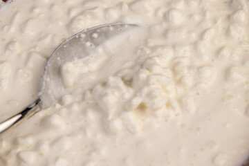 grainy cottage cheese with cream on the table, cottage cheese and a steel spoon
