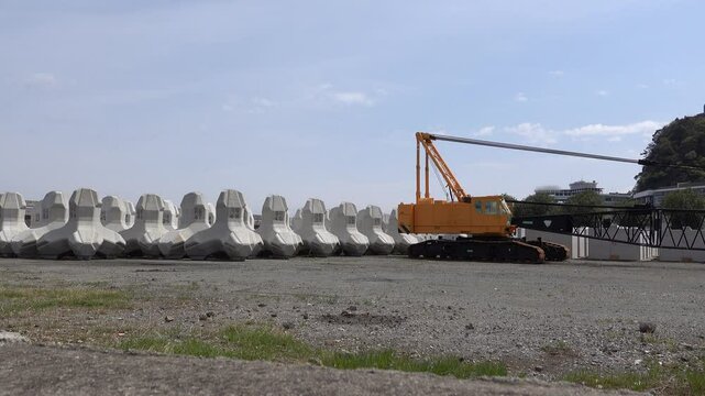 Unplaced tetrapods