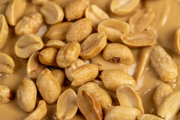 bread and peanut butter, peanut butter on a piece of bread and roasted peanuts