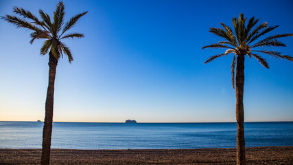 tropical beach with palm trees