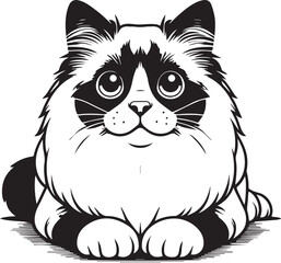 Black and White Ragdoll Cat Vector
