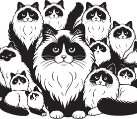 Black and White Ragdoll Cat Vector