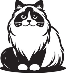 Black and White Ragdoll Cat Vector
