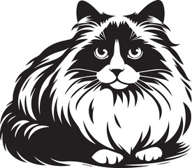 Black and White Ragdoll Cat Vector