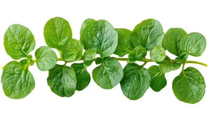 You've reached our limit of messages per hour Please try again later