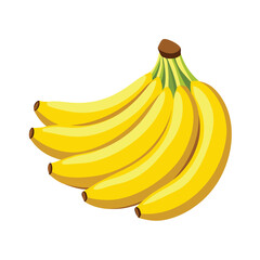 Bunch of bananas vector art illustration
