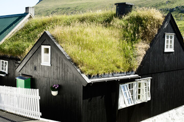 Traditional Grass-Roofed Faroese Houses