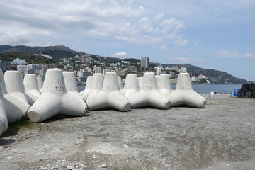 Unplaced tetrapods