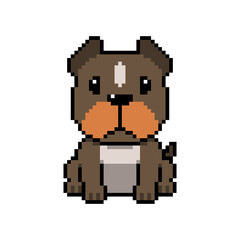 Pixel art cute pit bull terrier dog vector in retro style for design.