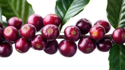 You've reached our limit of messages per hour Please try again later