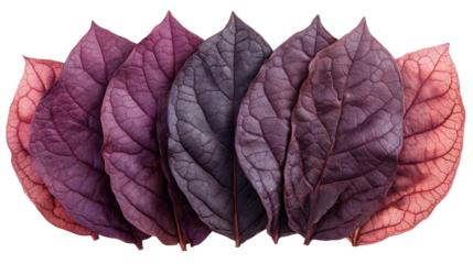 It's easy to understand, descriptive, and includes key elements from both the sentences and the tags Let me know if you want it shorter or more creative!