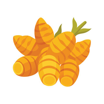 orange carrots bunch on white background clip art preview