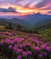 Fototapeta premium Beautiful mountain landscape with vibrant flowers during a colorful sunset