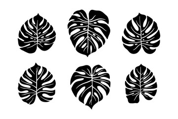 Vector black monstera leaves set, herbal element. Collection of simple tropical leaves. Can be used as isolated sign, symbol and icon. Summer tropical botanical vector philodendron leaf illustrations. © LENNAMATS