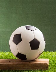 Fototapeta premium Soccer Ball with Blank Space for Text