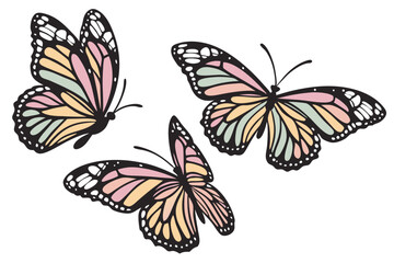 130 Colorful butterflies, vibrant wings, detailed patterns, iridescent colors, varied species, white background, realistic illustration, nature collection, rainbow hues, delicate insects, entomology d