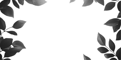 Black Leaf Frame Illustration With Transparent Background Design