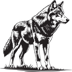 Coyote Wolf Vector Illustration Black and White Outline EPS
