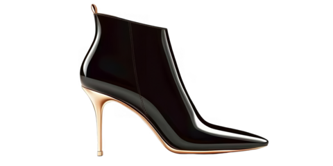Elegant Black Shoe With Golden Heel 3D Illustration Isolated On Transparent Background