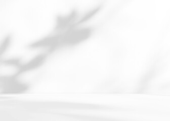 Obraz premium Empty white room studio with leaves shadow overlay effect for product presentation display. Cosmetic beauty fashion showroom. Morning sunlight through the window. Minimal Mock up interior background.