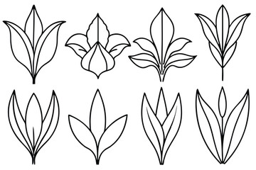 Iris Leaf Line Art Intricate Sketch for Floral Artwork 
