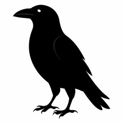 Obraz premium crow on a white background
