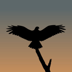 Illustration of an eagle silhouette with gradient background