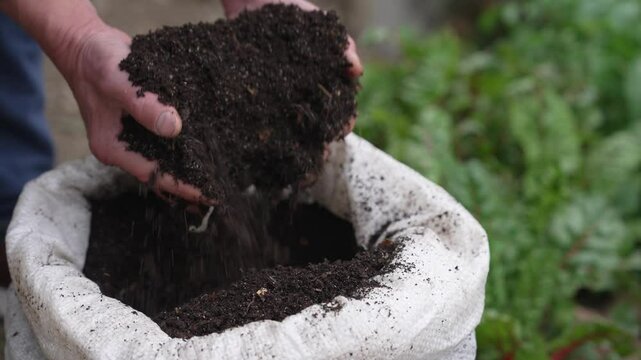 Compost soil from garden and kitchen waste. Harvesting the vermicompost