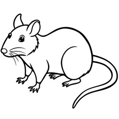 squirrel on a branch