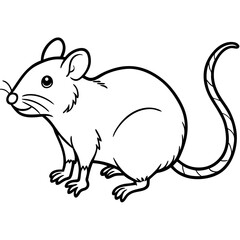 vector illustration of a squirrel