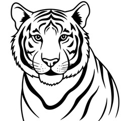 white tiger head