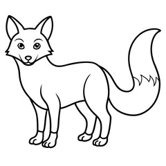 cat and dog