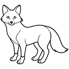 vector illustration of a fox