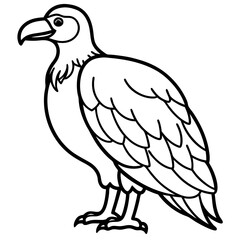 vector illustration of a bird