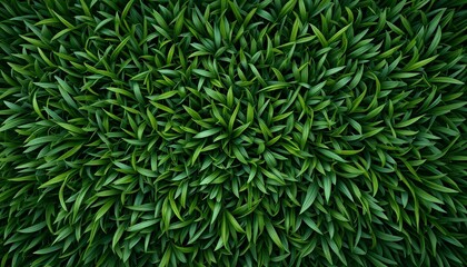 "Realistic Green Grass Texture from Above for Fresh Design Projects"