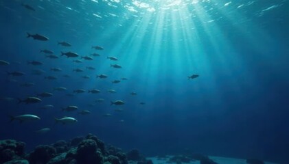Dark blue ocean surface with schools of silvery fish swimming in the distance, ocean floor, blue