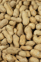 Whole Raw Peanuts in Shell Close-Up