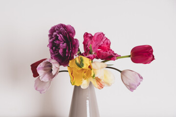 Beautiful bunch of multicolored terry tulip flowers in full bloom in vase against white background. Minimalist spring still life.