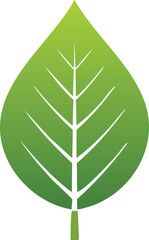 Green leave vector isolated on white background