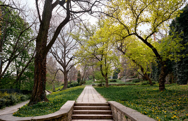 Serene Park Path Surrounded by Dense Greenery and Blooming Trees in Springtime..