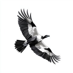 Obraz premium Black And White Image Of A Large Bird In Flight Against A White Background