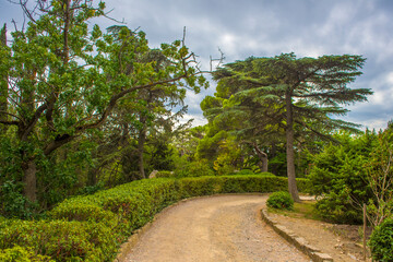 a winding path in the park of Foros, Crimea. The footpath, paved with fine gravel and framed by a stone border, goes deep into the green area. 