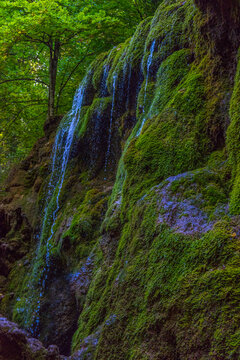 a picturesque mossy waterfall in the shade of a Crimean forest. Streams of water flow down a rock thickly covered with green moss, creating a sense of a fairy-tale atmosphere.  