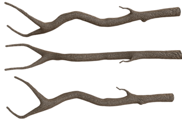 Collection of  natural,  organic,  rustic  twigs