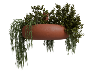 Terracotta planter with cascading greenery