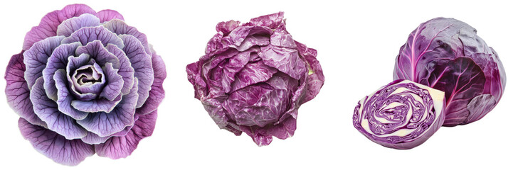Obraz premium Fresh Purple Cabbage Varieties with Cut Sections and Whole Heads