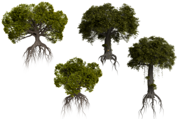 Floating trees with extensive root systems. Lush foliage and vibrant green tones